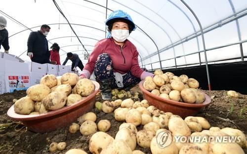 춘향제 때 '남원 농특산물축제' 병행…60개 판매 부스 설치