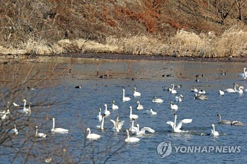 [대구소식] 치매인식개선 영상 공모전 개최