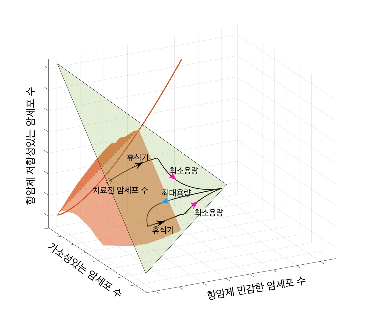 최적 항암제 투약용량·기간, 내성 고려 수리모델로 예측한다