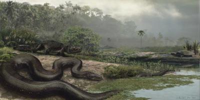 [사이테크+] "4천700만년 전 거대 뱀 화석 발견…몸길이 최대 15ｍ"
