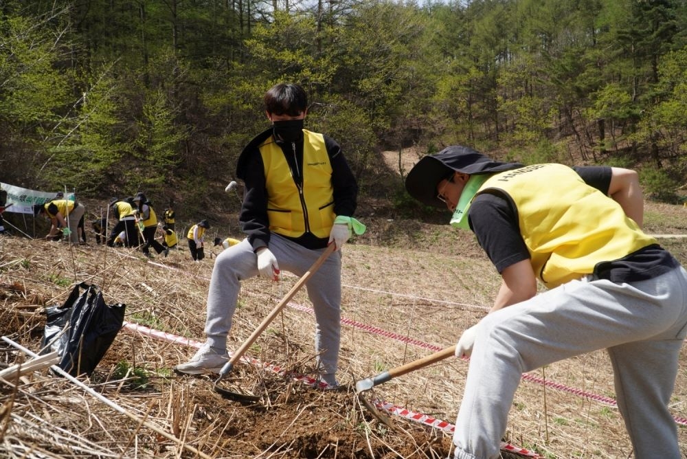 한샘, 지구의 날 맞아 삼척에서 밀원숲 조성 봉사활동