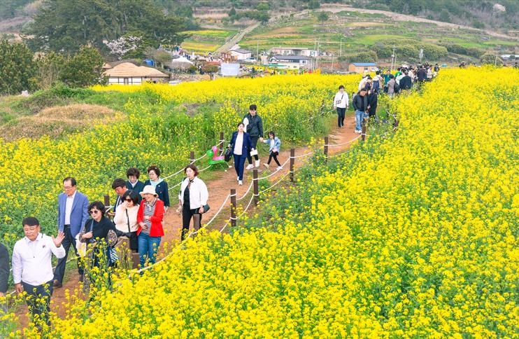 청산도 슬로걷기 축제 성료…청산완보·기 치유 인기