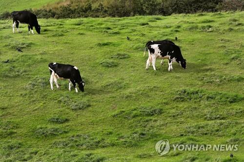 美FDA "저온살균우유서 조류독감바이러스 발견…위험無"