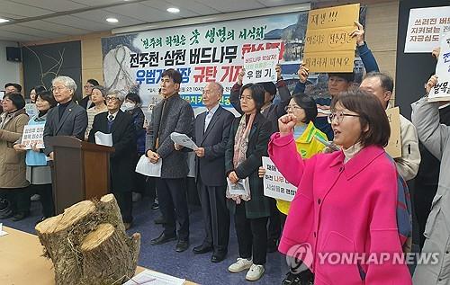 전북환경운동연합 "시민 97%, 전주천·삼천 버드나무 벌목 반대"