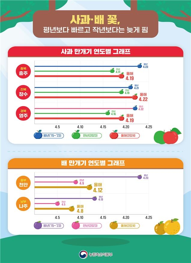 사과·배 올해는 괜찮을까…"저온 피해 없이 생육 양호"