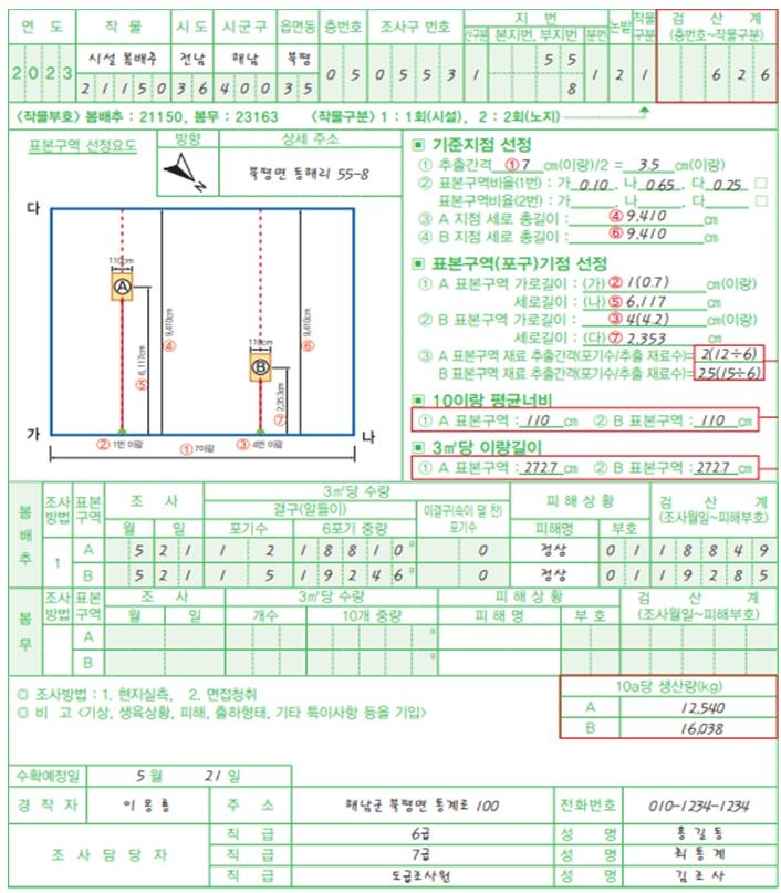 봄배추 생산량 조사 가보니…필지·이랑·포기 '무작위'