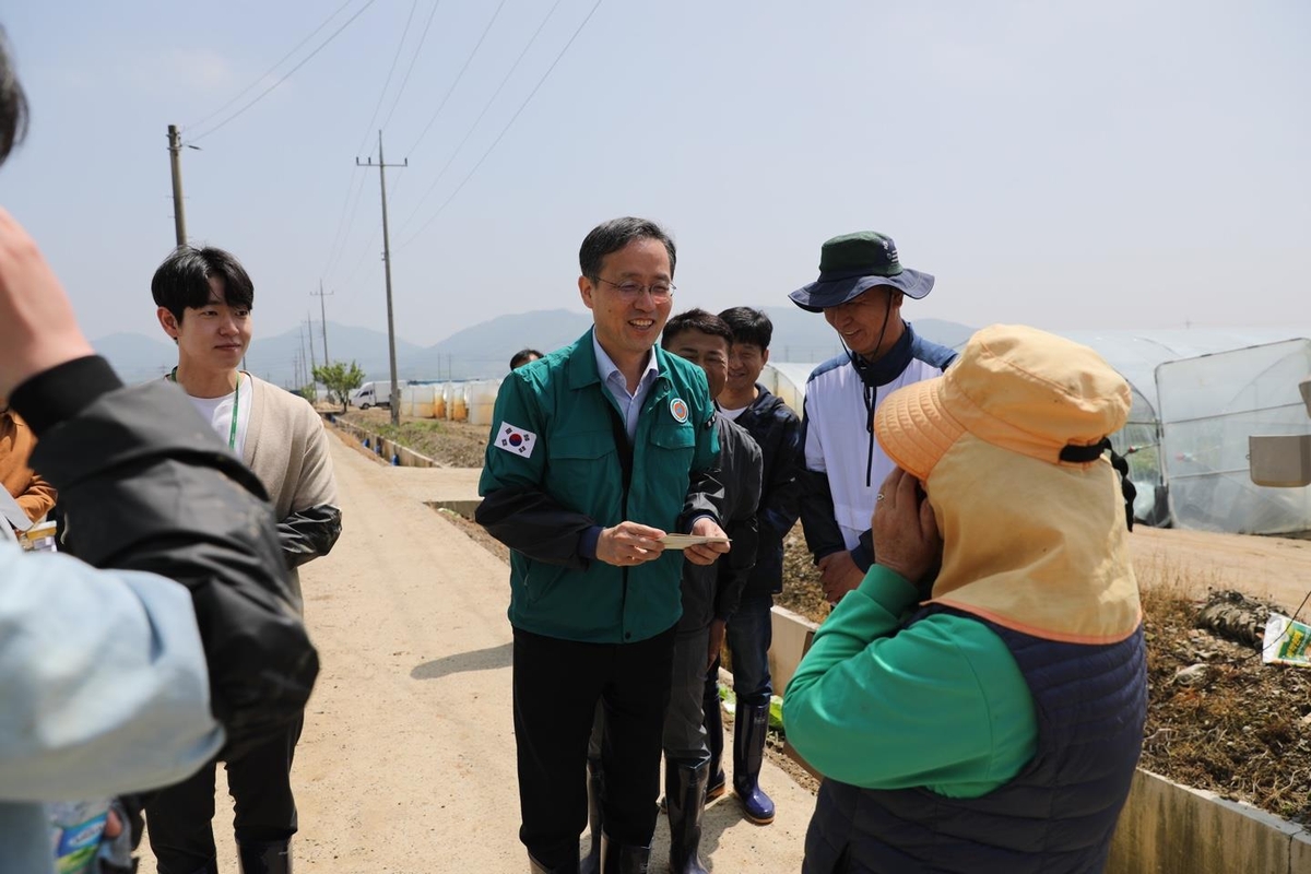 봄배추 생산량 조사 가보니…필지·이랑·포기 '무작위'