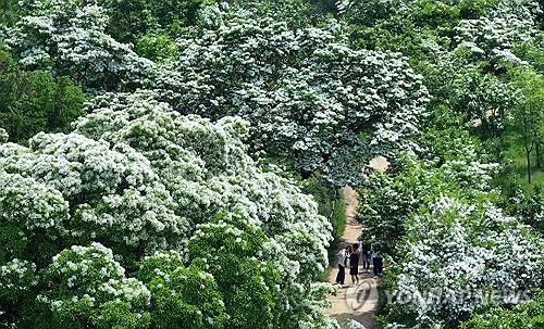 전국 흐리거나 비…낮 최고 14∼27도