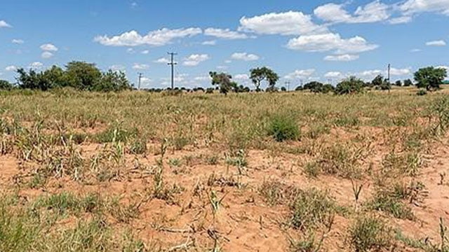 최악의 가뭄 덮친 잠비아, 1.3조 원조 요청