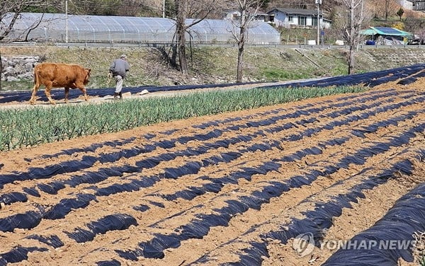 농가 '100만' 깨졌다…소멸 위기