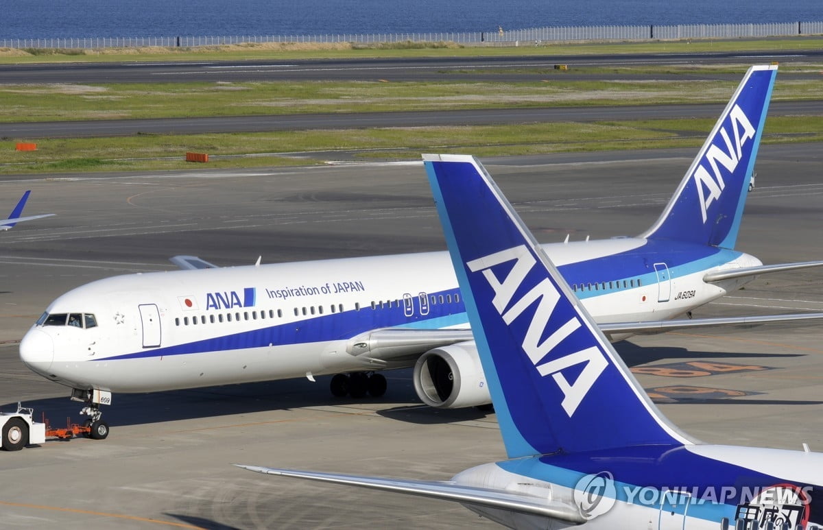 日 공항 착륙하던 ANA 여객기 연기…"부상자 없어"