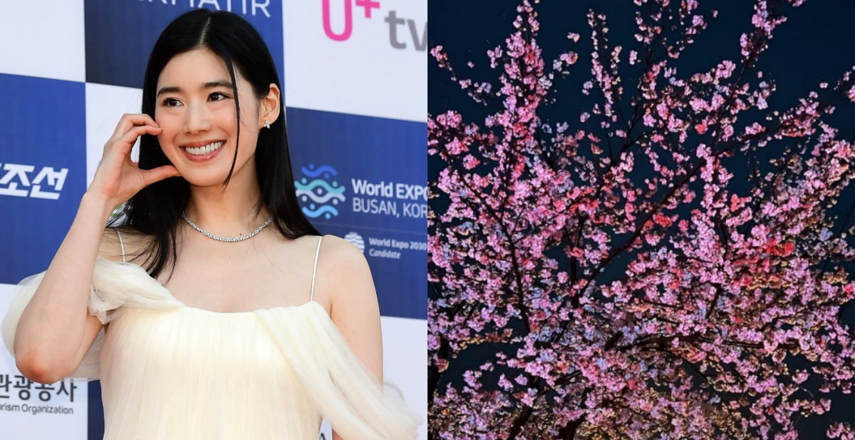 Did Jung Eun-chae enjoy a cherry blossom date with her lover Lee Chung-jae?