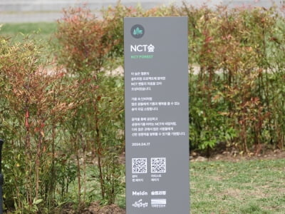 NCT·TXT 숲도 생겼다…K팝 팬덤, 멜론 숲;트리밍으로 선한 영향력