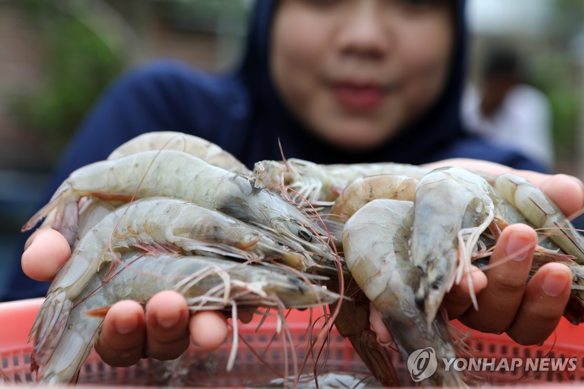 SNS서 지역주민에 "새우 뇌"…인니 환경운동가 실형