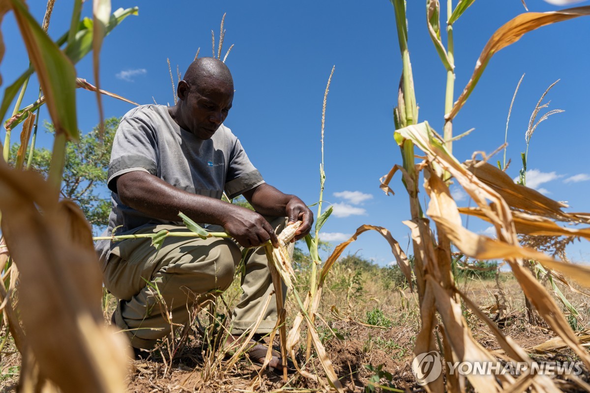 잠비아, 최악 '엘리뇨 가뭄'에 1조3천억 원조 요청