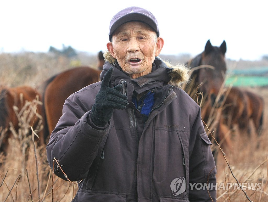 [다시! 제주문화] (83)"마지막 말테우리도 떠났다"…사라지는 목축문화