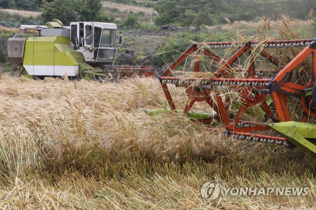 농식품부, 국산 밀 제품화 지원 대상에 걸작떡볶이 등 19곳 선정