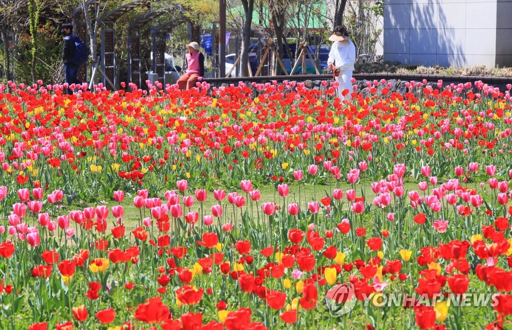 제주 구름 많다가 차차 맑아져…낮 최고 17∼18도 포근