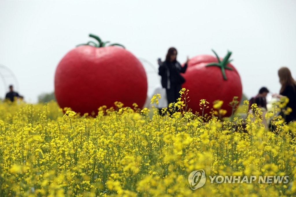 서울 초등학생 2천500명, 직접 식물 키우고 요리한다