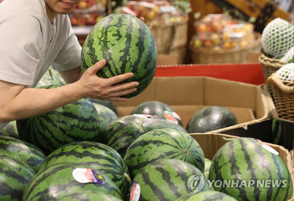 농식품부 "여름수박 생산량, 작년 수준될 듯…참외출하도 양호"