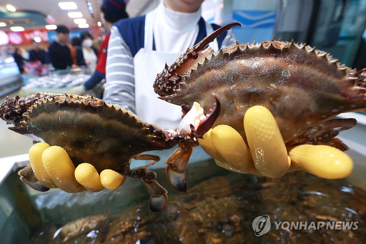 백령·대청·소청도 꽃게 포획 금지 기간 보름 늦춰