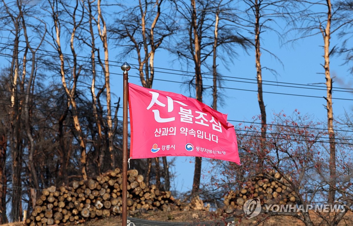 강원 곳곳서 산불 잇따라…80대 추정 남성 숨진 채 발견(종합)