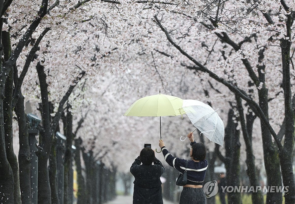 목요일 절기 '청명'이지만 흐려…내륙 곳곳엔 비 조금