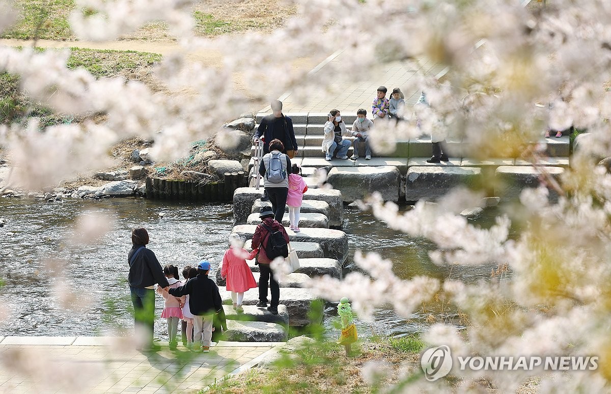 '특별한 양재천·대모산 체험'…강남구 생태·산림프로그램 특화