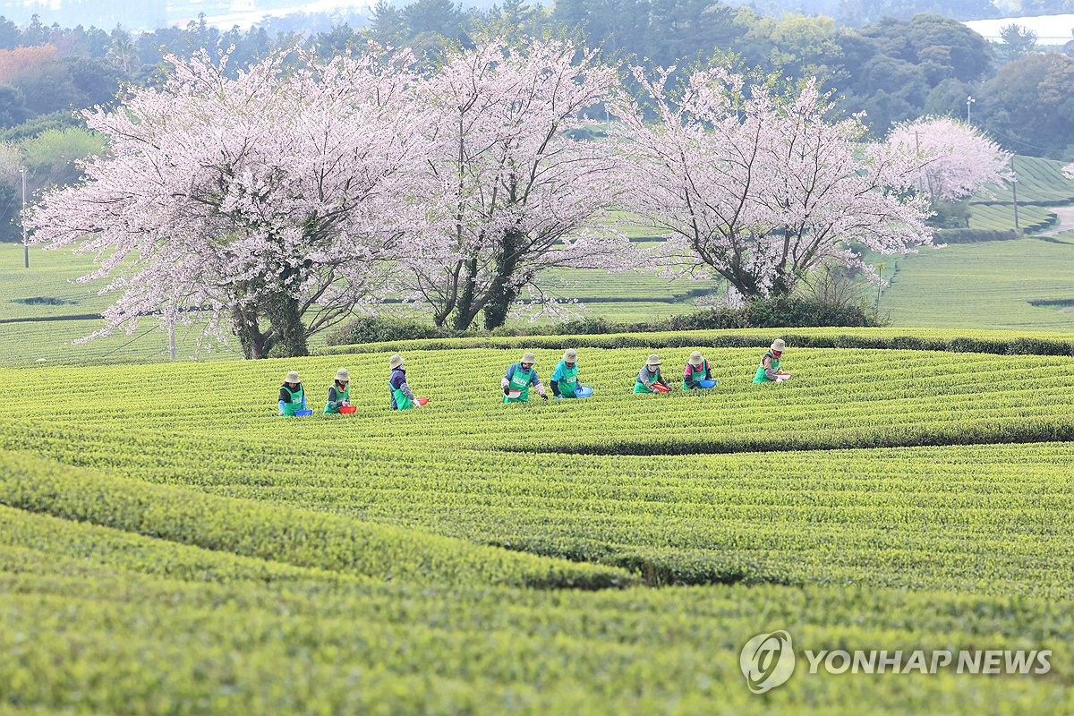 제주 대체로 흐린 날씨…낮 최고 17∼18도