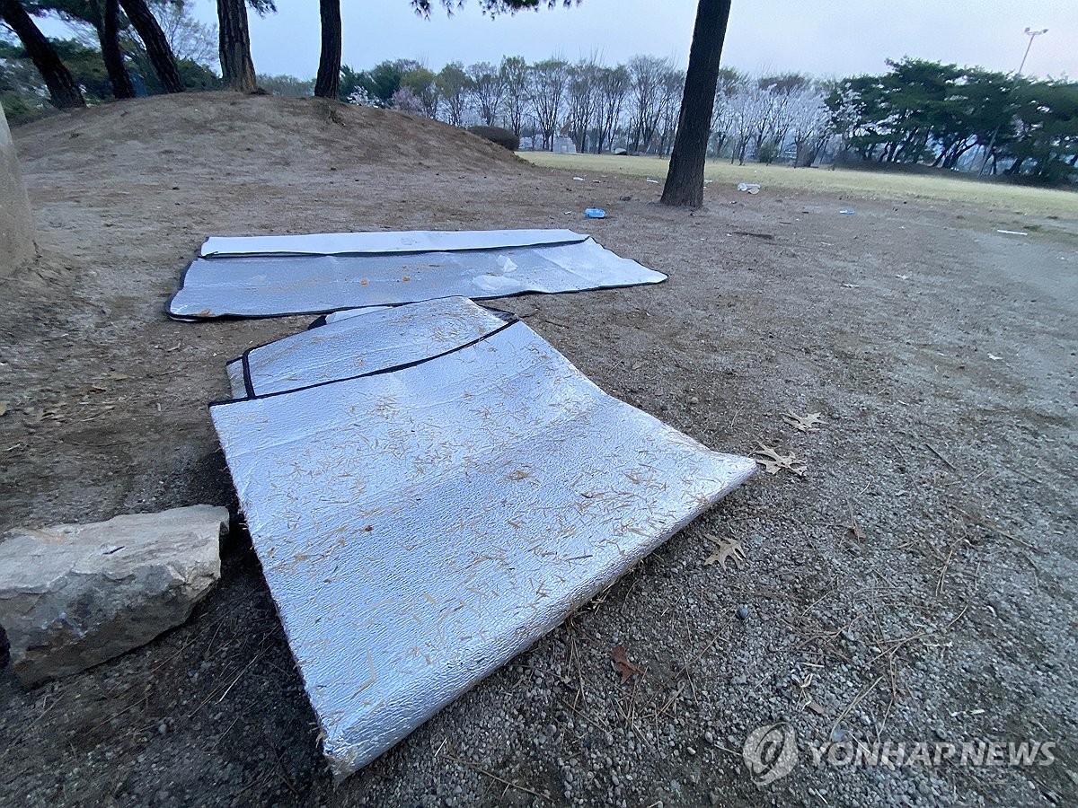 벚꽃놀이 뒤 버려진 양심…잔디밭 술판, 흡연으로 '난장판'