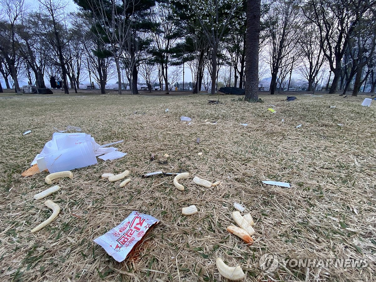 벚꽃놀이 뒤 버려진 양심…잔디밭 술판, 흡연으로 '난장판'