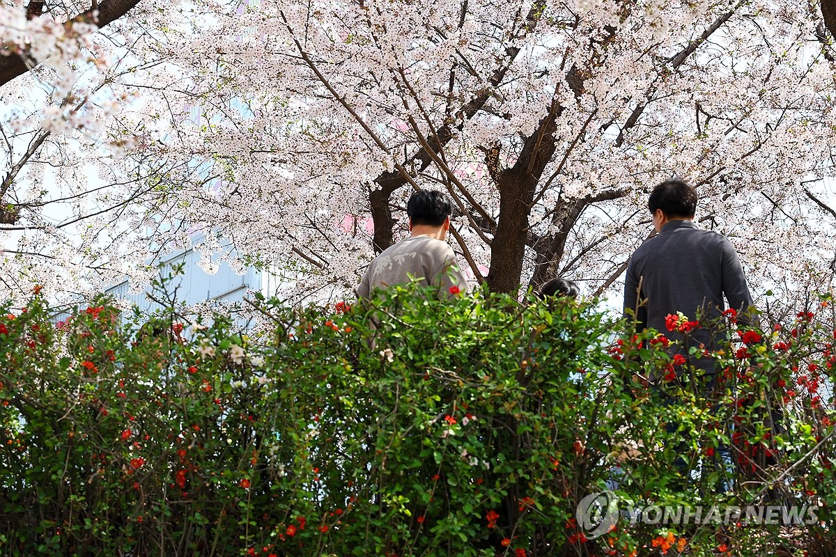 부산·울산·경남 가끔 구름 많음…낮 최고 21∼25도