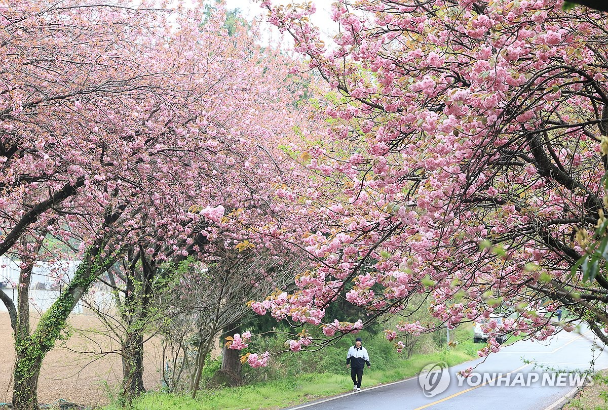 제주 아침까지 가끔 비…낮 최고 20∼22도