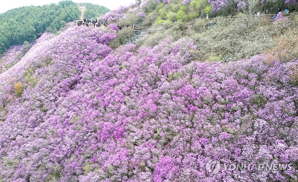 [내일날씨] 전국 흐리고 비…낮 최고 17∼21도