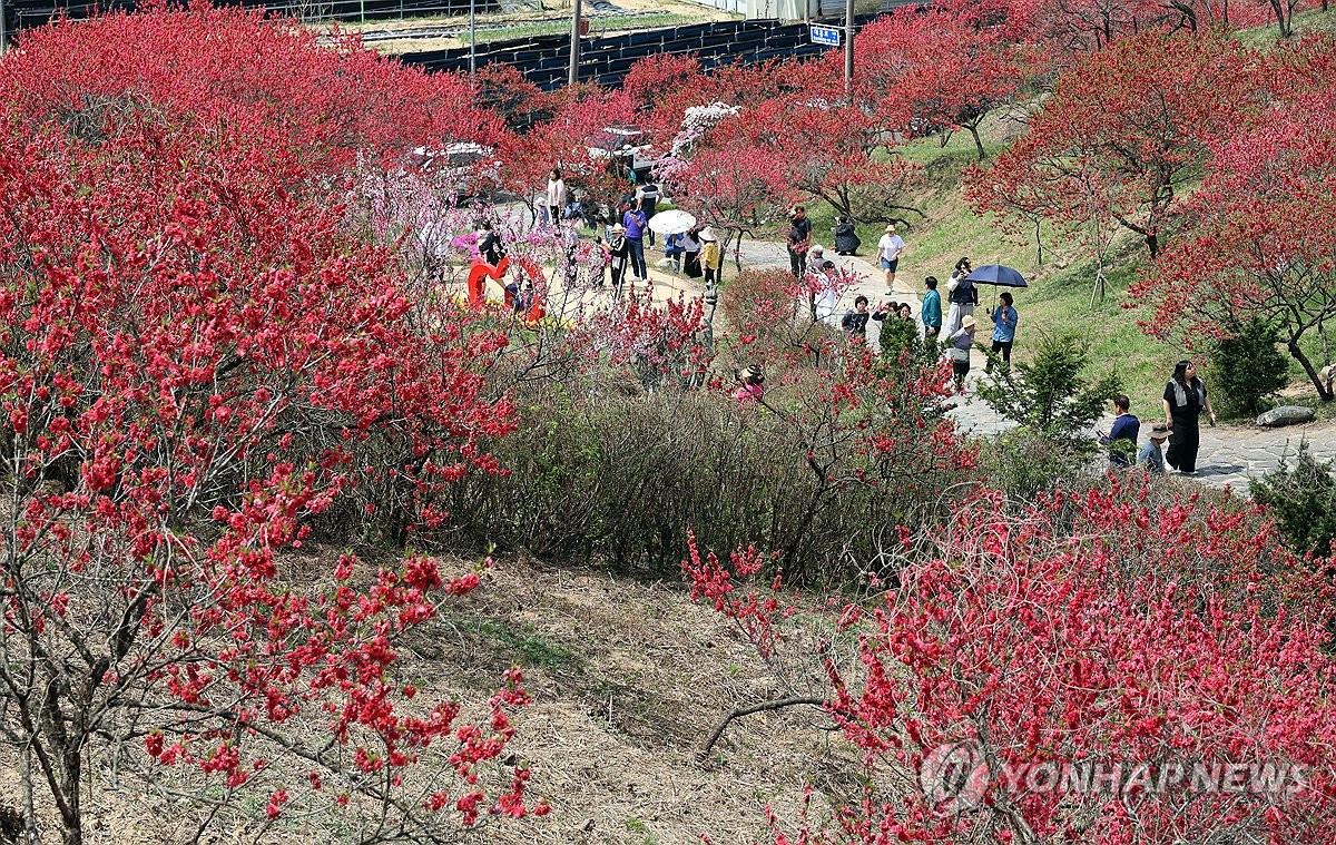 "덥다 더워" 벌써 바닷가로…봄 축제장에도 인파 북적