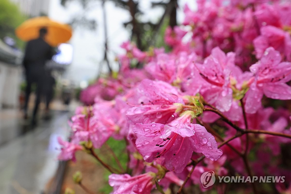 수요일 오후까지 전국에 비…그친 뒤엔 황사