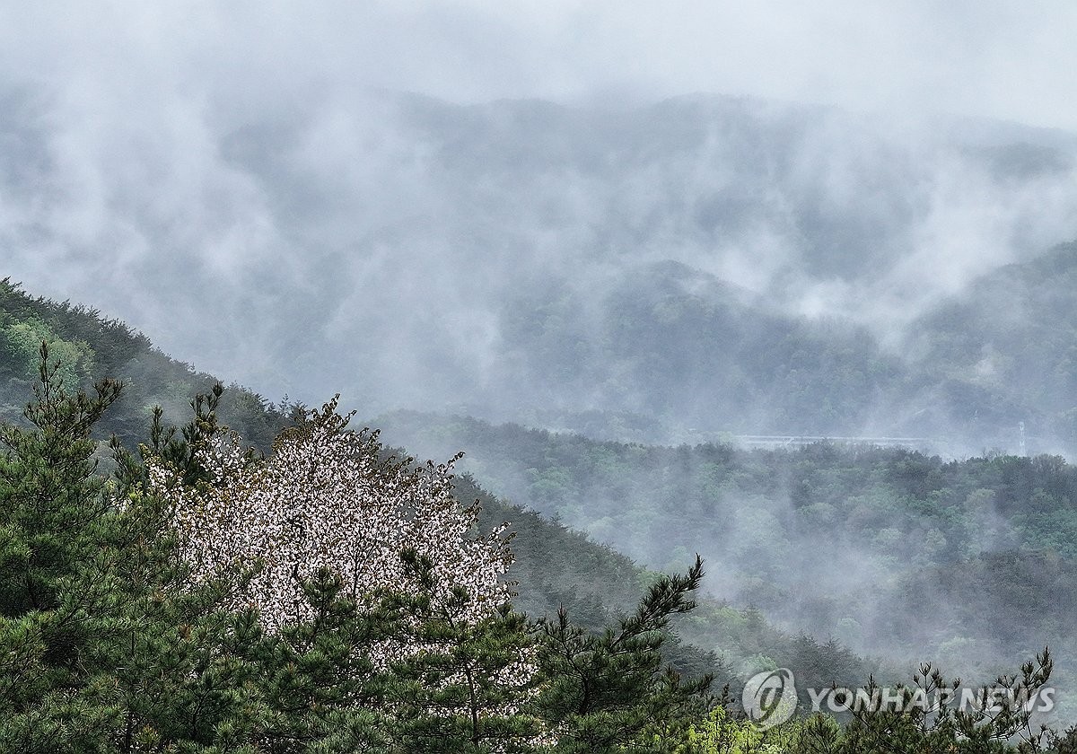 오늘 낮 서울 25도…동풍 부는 동해안은 15도 안팎