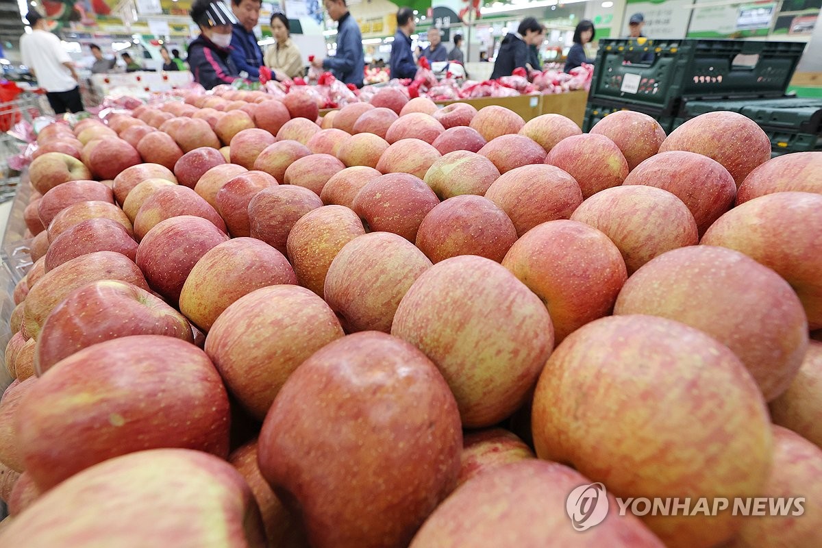 사과·배 올해는 괜찮을까…"저온 피해 없이 생육 양호"