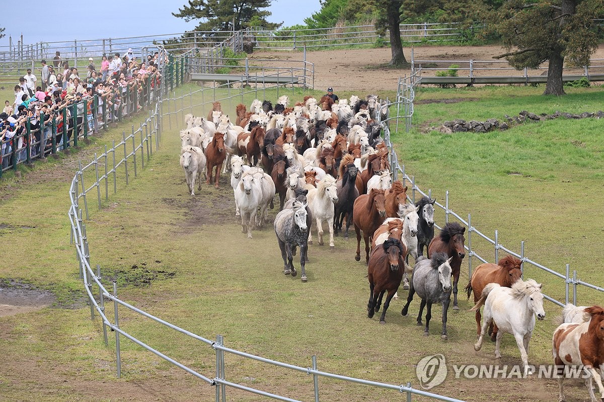 낮 최고 30도…이른 더위 피해 전국 산·바다 나들이객 '북적'