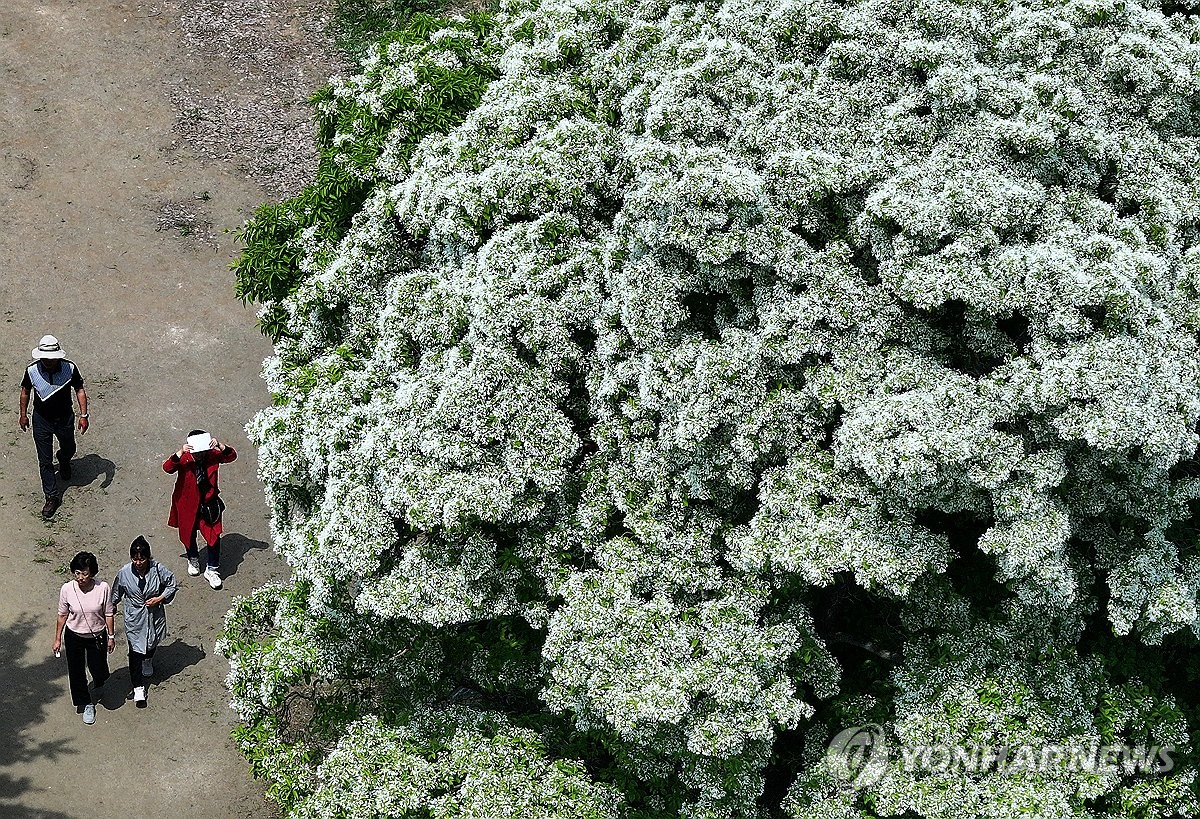 전북 흐리고 낮 최고 23도…미세먼지 '보통'