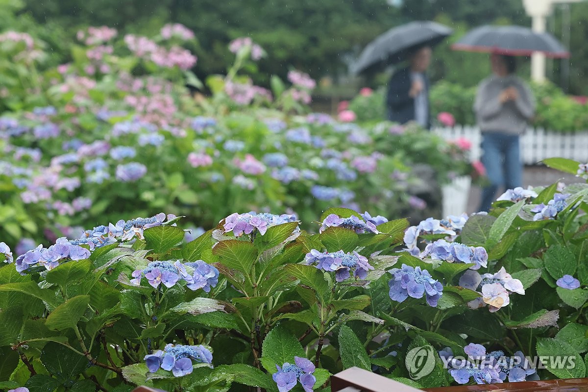 화요일 강원영동·남부·제주 비 조금…동해안은 '서늘'