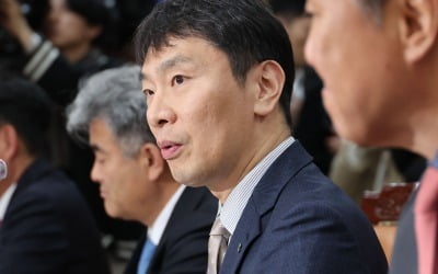 이복현 카지노 정팔;양문석, 주택구입 목적 사업자대출이면 명백한 불법카지노 정팔;