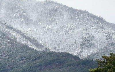 두 달 전 설악산에서 실종된 20대 남성…숨진 채 발견돼