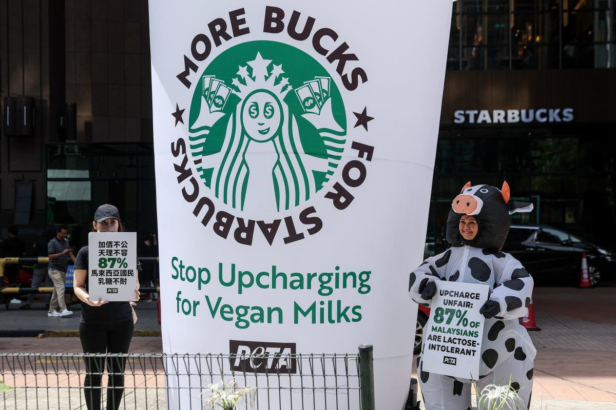  동물보호단체 소속 활동가가 27일 말레이시아 쿠알라룸푸르 시내 스타벅스 매장 앞에서 젖소 복장으로 시위를 하고 있다. /사진=EPA