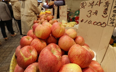 정부, 서울 전통시장 16곳 사과·대파 등 납품 단가 지원