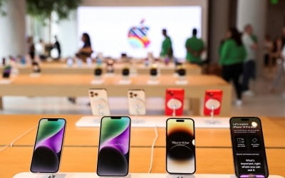 애플,1년새 인도내 아이폰 생산 두 배...대중의존도 줄여