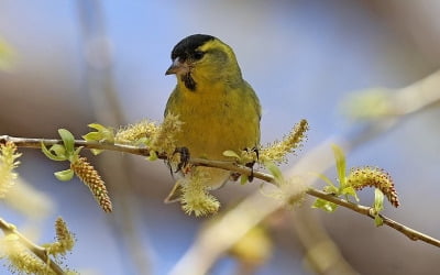 오후부터 제주·남부 비…낮 최고 14∼25도