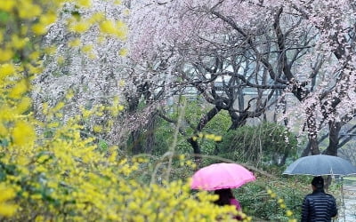 전국 흐리고 비…낮 최고기온 10∼21도