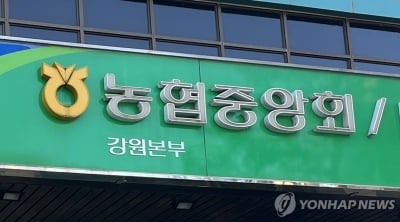 '장바구니 부담 줄여라' 강원농협, 사과·참외·대파 할인 판매