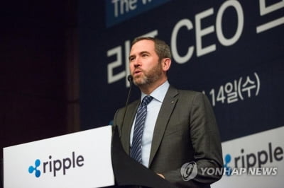 가상화폐 리플 발행사 CEO "하반기 스테이블코인 발행"